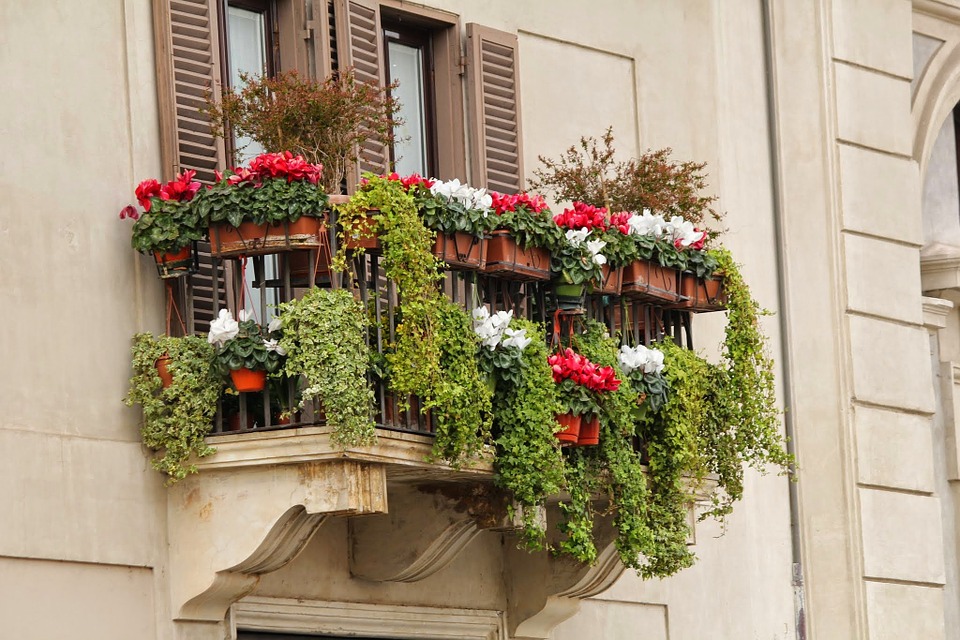 planten op balkon